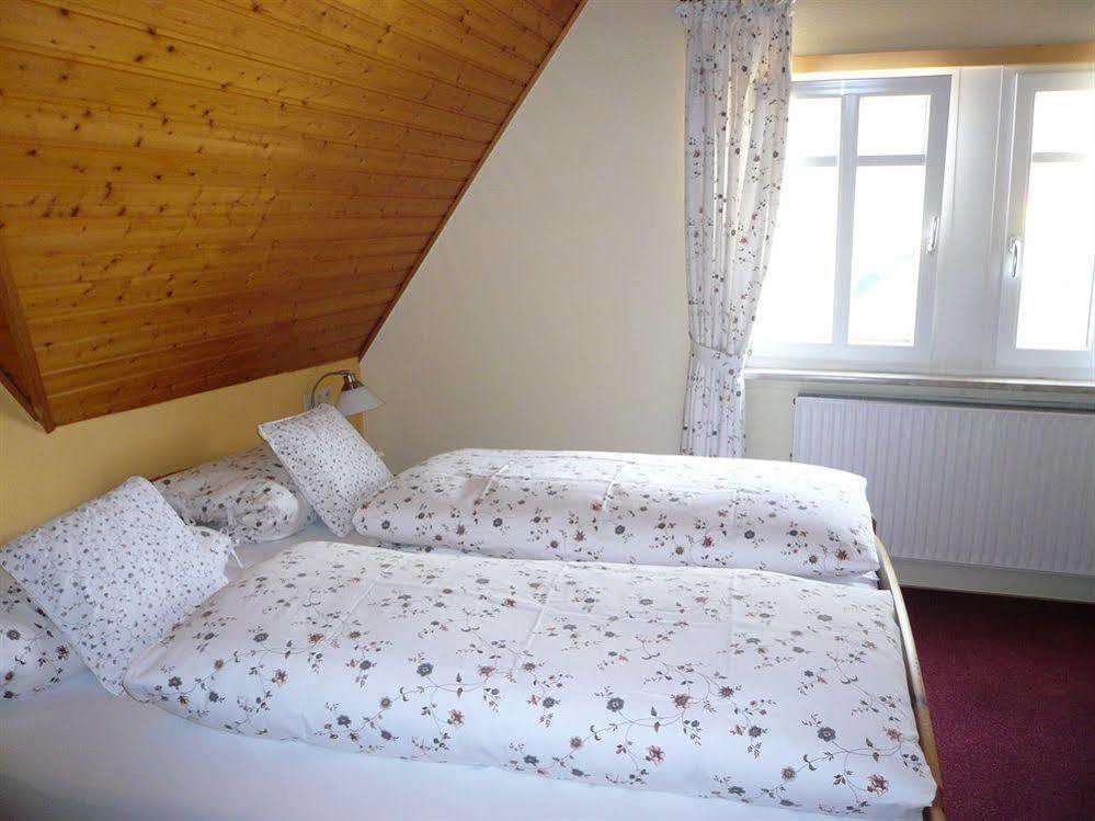 Mosel-Landhaus Am Moselufer B&B Briedern Exterior photo